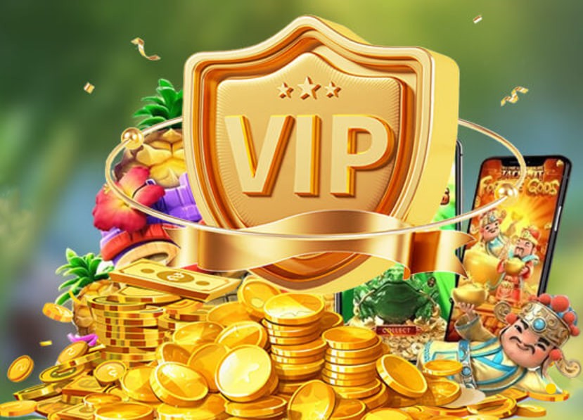 vuaclub
